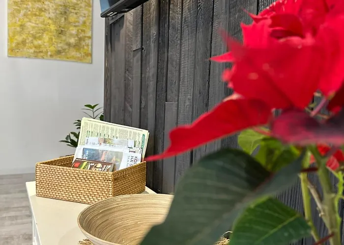 Apartament Fajny Kat